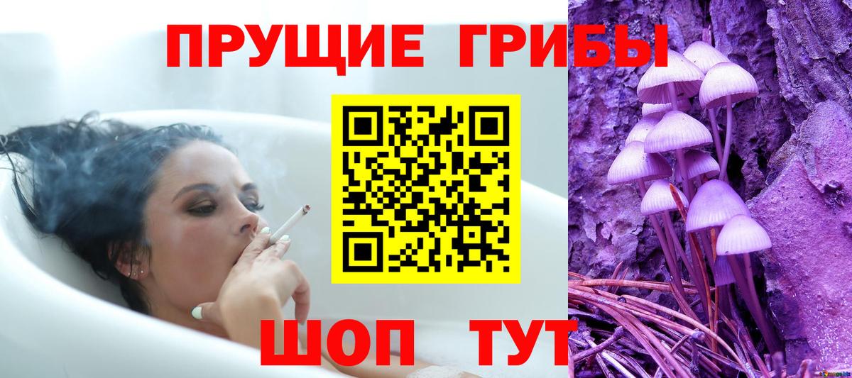 Псилоцибиновые грибы мицелий  Псилоцибиновые грибы ЛСД  Краснознаменск  Вход с VPN 